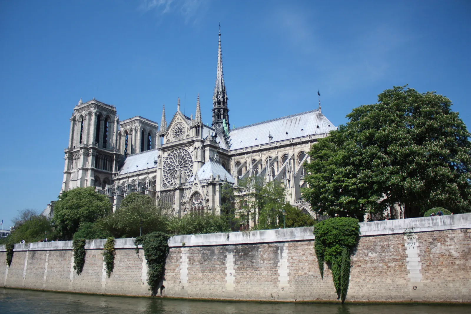 Notre-Dame Cathedral seen across the Seine from Quai Montebello, with its towers, spire, and rose window visible above the riverbank trees